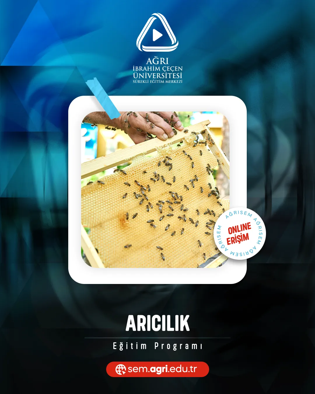 Arıcılık Sertifika Programı